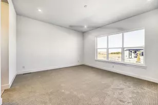 684 Leafy Aster Ln, Castle Rock, CO 80104 - Photo 8