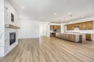 684 Leafy Aster Ln, Castle Rock, CO 80104 - Photo 2