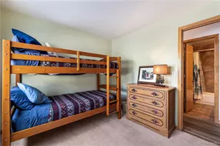 14 Crystal Cove, Dillon, CO 80435 - Photo 22