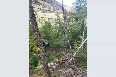 00 Guanella Pass Road, Georgetown, CO 80444 - Photo 4