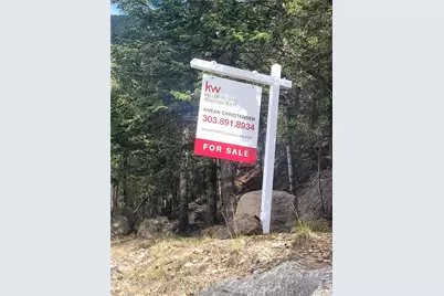 00 Guanella Pass Road, Georgetown, CO 80444 - Photo 6
