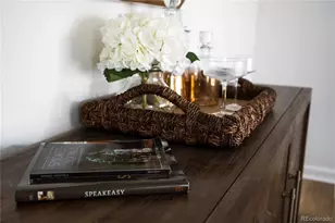 1365 Columbine Street Street, Denver, CO 80206 - Photo 16