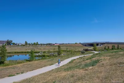 6781 Hooker Street, Denver, CO 80221 - Photo 36