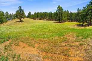 2830 Kerr Gulch Rd, Evergreen, CO 80439 - Photo 4