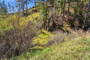 2830 Kerr Gulch Rd, Evergreen, CO 80439 - Photo 36