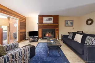 91100 Ryan Gulch Rd, Silverthorne, CO 80498 - Photo 2