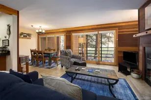 91100 Ryan Gulch Rd, Silverthorne, CO 80498 - Photo 6