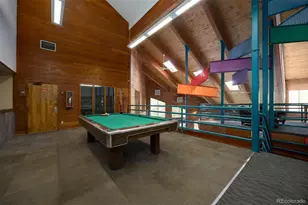 91100 Ryan Gulch Rd, Silverthorne, CO 80498 - Photo 42