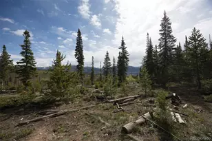 91100 Ryan Gulch Rd, Silverthorne, CO 80498 - Photo 24