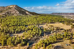 436 Fox Farm Rd, Larkspur, CO 80118 - Photo 1