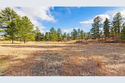 436 Fox Farm Road, Larkspur, CO 80118 - Photo 18