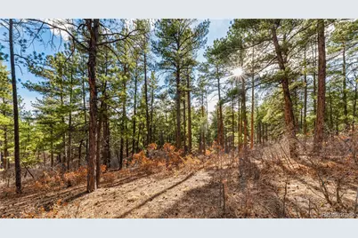 436 Fox Farm Road, Larkspur, CO 80118 - Photo 46