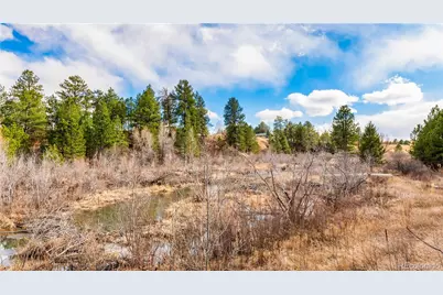 436 Fox Farm Road, Larkspur, CO 80118 - Photo 42