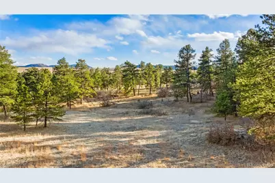 436 Fox Farm Road, Larkspur, CO 80118 - Photo 26