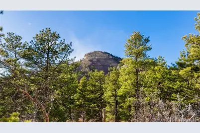 436 Fox Farm Road, Larkspur, CO 80118 - Photo 48