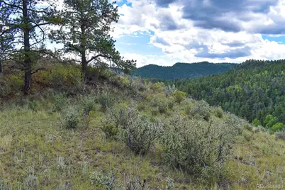 231 Deer Lane, Guffey, CO 80820 - Photo 26