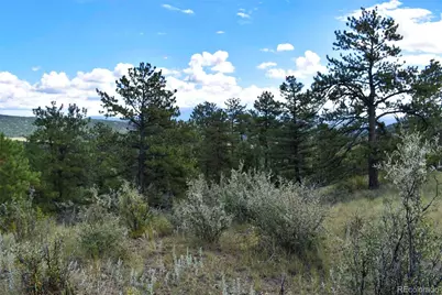 231 Deer Lane, Guffey, CO 80820 - Photo 20