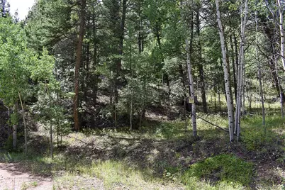 231 Deer Lane, Guffey, CO 80820 - Photo 30