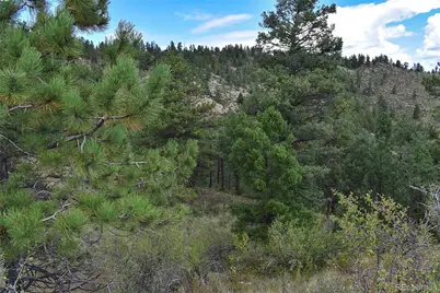 231 Deer Lane, Guffey, CO 80820 - Photo 12