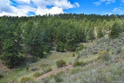 231 Deer Lane, Guffey, CO 80820 - Photo 6