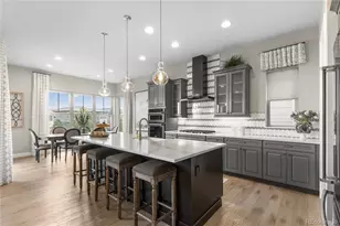 485 Meadowleaf Ln, Highlands Ranch, CO 80126 - Photo 2