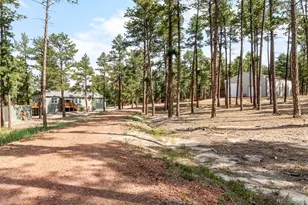 11374 Ridgewood Way, Kiowa, CO 80117 - Photo 8