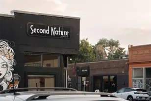 3746 Jason St, Denver, CO 80211 - Photo 42