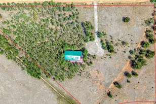 318 Foxtail Ln, Fairplay, CO 80440 - Photo 12