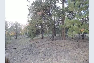 5113 Campfire Road, Hartsel, CO 80449 - Photo 6