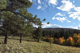 5113 Campfire Rd, Hartsel, CO 80449 - Photo 1