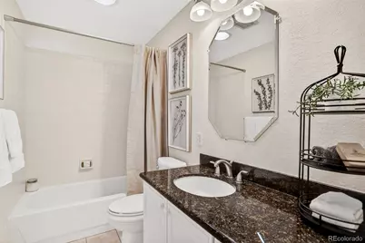 294 Sylvestor Place, Highlands Ranch, CO 80129 - Photo 32