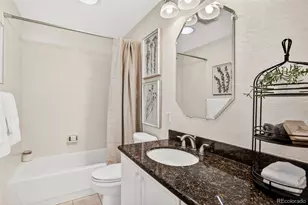 294 Sylvestor Pl, Highlands Ranch, CO 80129 - Photo 32