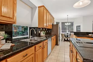 294 Sylvestor Pl, Highlands Ranch, CO 80129 - Photo 16