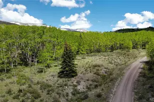 63 Pine Ridge Rd, Fairplay, CO 80440 - Photo 1