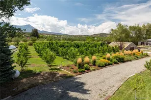 15805 Black Bridge Rd, Paonia, CO 81428 - Photo 14