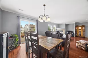 6235 Turnstone Pl, Castle Rock, CO 80104 - Photo 8