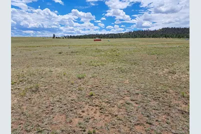 389 Park Road, Hartsel, CO 80449 - Photo 10