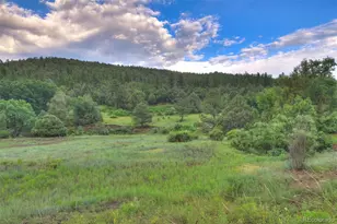 33041 Big Springs Overlook, Trinidad, CO 81082 - Photo 12