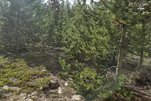 69 Co Rd 4652, Grand Lake, CO 80447 - Photo 8