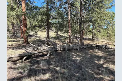 565 Hayhook Way, Hartsel, CO 80449 - Photo 8