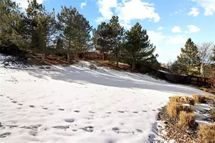 10269 Fawnbrook Ct, Highlands Ranch, CO 80130 - Photo 42