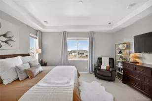 5866 Hay Market Trail, Parker, CO 80134 - Photo 24