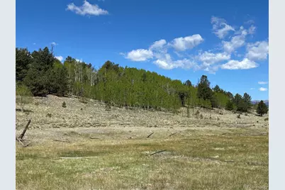 157 Crow Court, Como, CO 80432 - Photo 4