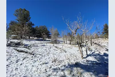 157 Crow Court, Como, CO 80432 - Photo 20