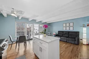 33 N Corona Street, Denver, CO 80218 - Photo 6