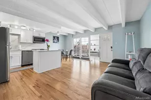 33 N Corona Street, Denver, CO 80218 - Photo 12