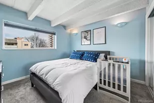 33 N Corona Street, Denver, CO 80218 - Photo 8