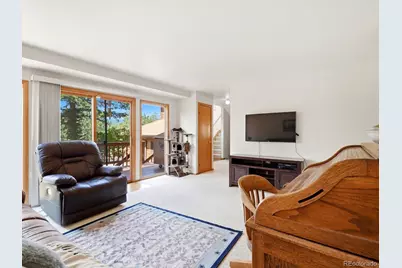 74 Badger Lane, Bailey, CO 80421 - Photo 12
