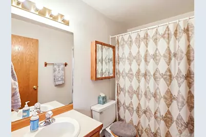 74 Badger Lane, Bailey, CO 80421 - Photo 24