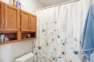 74 Badger Ln, Bailey, CO 80421 - Photo 20